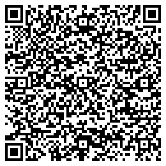 QR-код с контактной информацией организации Holstinka