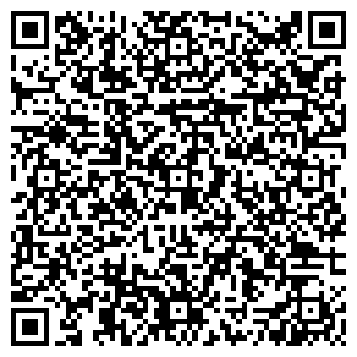 QR-код с контактной информацией организации ИП Кошкин С.В.