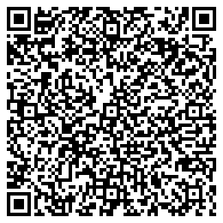 QR-код с контактной информацией организации Детский сад №24, Звёздочка