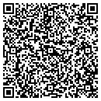QR-код с контактной информацией организации Пятнашка