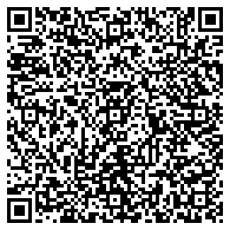 QR-код с контактной информацией организации ООО Ветлан Энерго