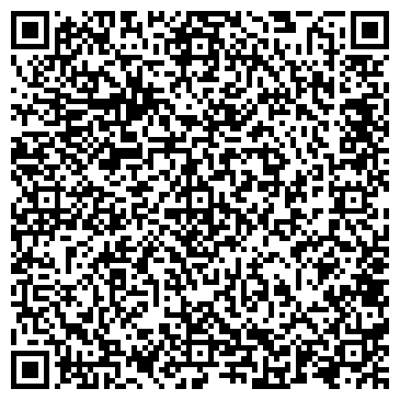 QR-код с контактной информацией организации Видеомир, магазин, ИП Пленкин С.Г.