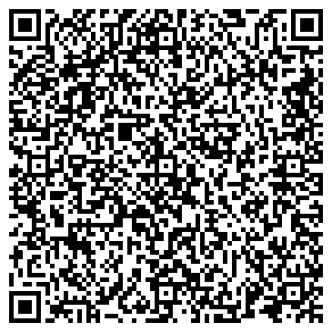 QR-код с контактной информацией организации Видеомир, магазин, ИП Пленкин С.Г.