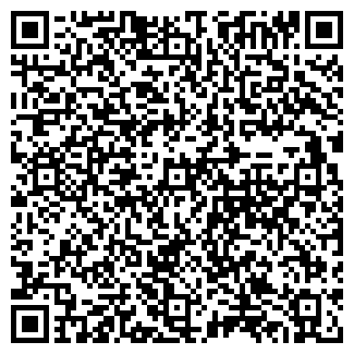 QR-код с контактной информацией организации ИП Семенова Е.В.
