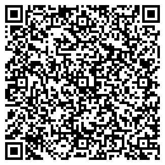 QR-код с контактной информацией организации Блинотека