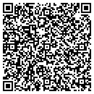 QR-код с контактной информацией организации DNS