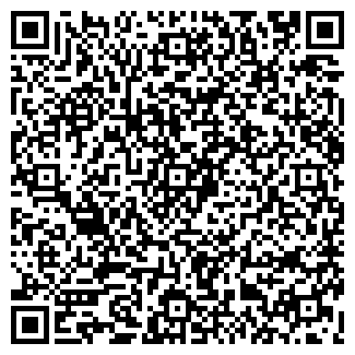 QR-код с контактной информацией организации ИП Сомов Р.Р.