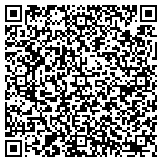 QR-код с контактной информацией организации Sky Ice