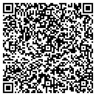 QR-код с контактной информацией организации ИП Сарызин И.И.