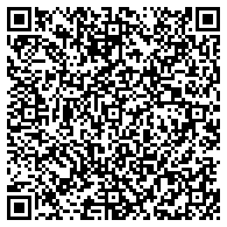 QR-код с контактной информацией организации ИП Ходюшина Г.Н.
