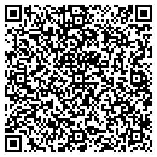 QR-код с контактной информацией организации ИП Ланцевич И.С.