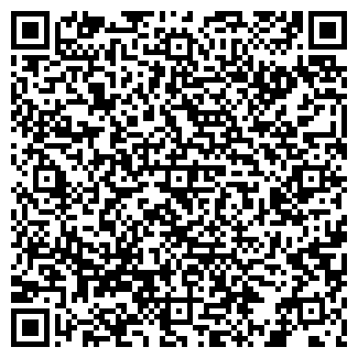 QR-код с контактной информацией организации ООО «Пицца Горыныч»