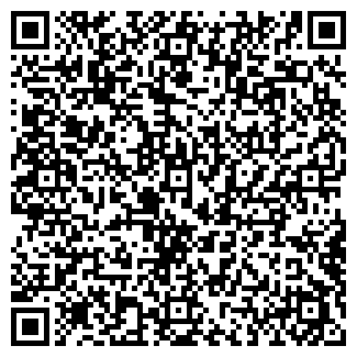 QR-код с контактной информацией организации Вилант, магазин