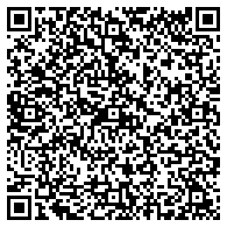 QR-код с контактной информацией организации ШОЛОХОВ А.В.