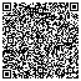 QR-код с контактной информацией организации ИП Сетин Г.С.