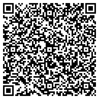 QR-код с контактной информацией организации Сайт Президента России