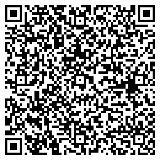 QR-код с контактной информацией организации ИП Носырев В.Н.