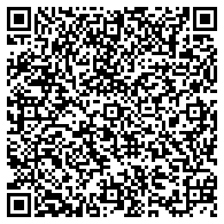 QR-код с контактной информацией организации Компания ЛВИ