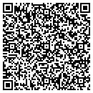 QR-код с контактной информацией организации ИП Иванов Д.С.