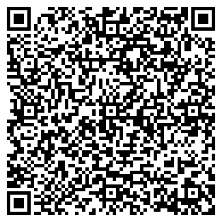 QR-код с контактной информацией организации ИП Зюбина Л.И.
