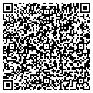 QR-код с контактной информацией организации ИП Высоцкий В.Н.