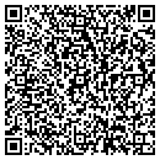 QR-код с контактной информацией организации ВАВИЛОН