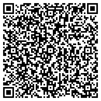 QR-код с контактной информацией организации Borgo