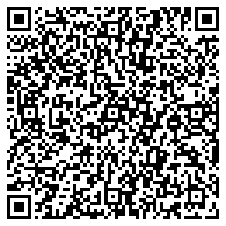 QR-код с контактной информацией организации Авто