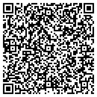 QR-код с контактной информацией организации Визит