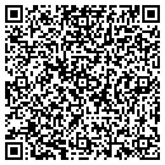 QR-код с контактной информацией организации Звезда