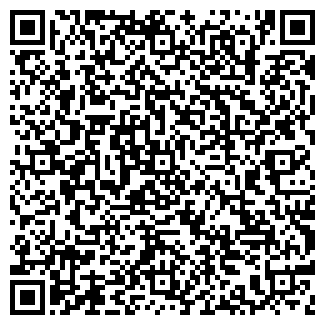 QR-код с контактной информацией организации АВТОШИНЫ, ЧП