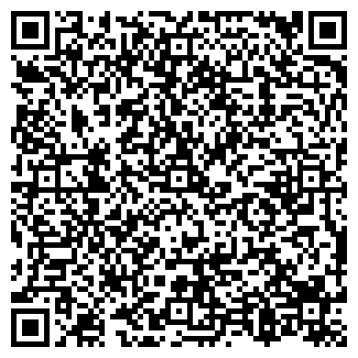 QR-код с контактной информацией организации Магазин, ИП Литвинова Е.Н.