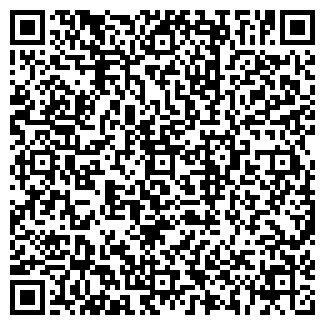 QR-код с контактной информацией организации АГЗС, ООО Темер, №2