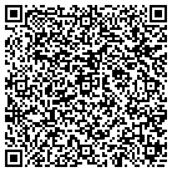 QR-код с контактной информацией организации Ледяной домик