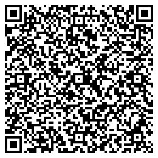 QR-код с контактной информацией организации Звезда