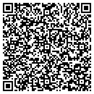 QR-код с контактной информацией организации Шашлычная на Кольцевой, 131а