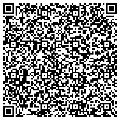 QR-код с контактной информацией организации ИП Соломеина Г.И.
