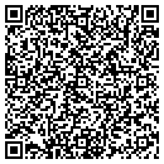 QR-код с контактной информацией организации ООО АБФ Логистик