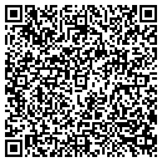 QR-код с контактной информацией организации Тейя, продуктовый магазин