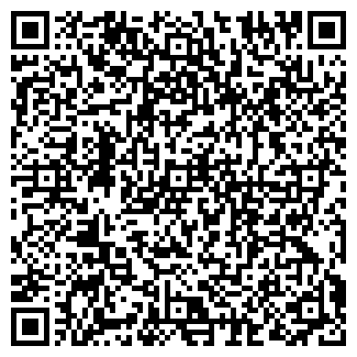 QR-код с контактной информацией организации ИП Панов М.Е.