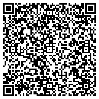 QR-код с контактной информацией организации ИП Данилов В.В.