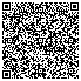 QR-код с контактной информацией организации Продуктовый магазин, ООО Анис