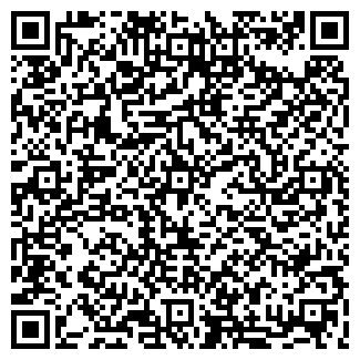 QR-код с контактной информацией организации Алтынъ, продуктовый магазин