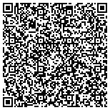 QR-код с контактной информацией организации БИН Страхование, ООО, страховая компания, филиал в г. Перми
