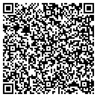 QR-код с контактной информацией организации ИП Пичугин А.В.(Закрыта)