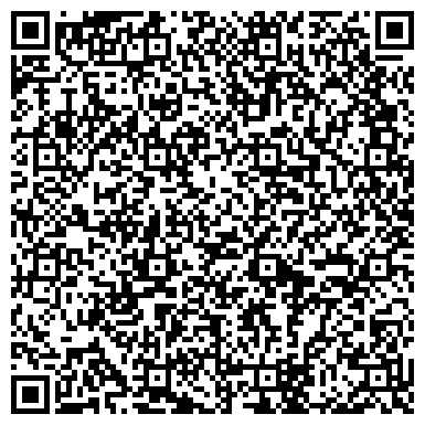 QR-код с контактной информацией организации Детский сад №91, Боровичок, общеразвивающего вида
