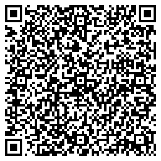 QR-код с контактной информацией организации Булавка