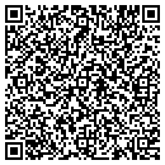 QR-код с контактной информацией организации Лили