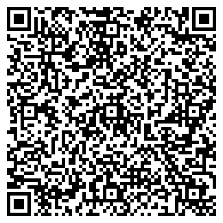 QR-код с контактной информацией организации ИП Ченцов С.И.