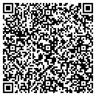 QR-код с контактной информацией организации Звезда